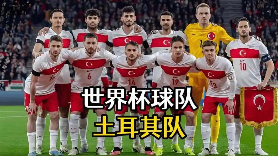 世界杯D组数据大乱斗：四强争霸土耳其新星闪耀
